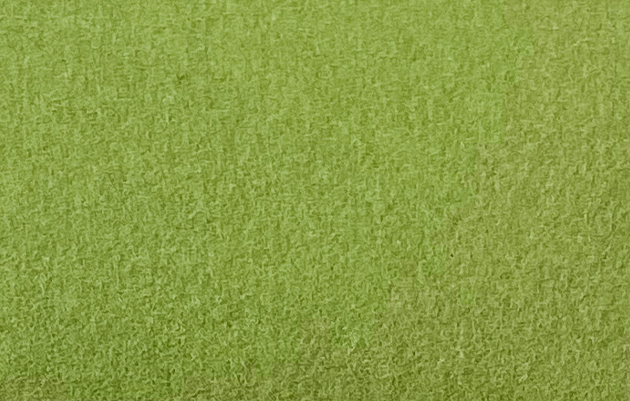 Excentr EDS Pad - Green 3000 Grit (55-35)