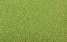 Excentr EDS Pad - Green 3000 Grit (55-35)