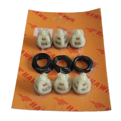 NMT Hawk & H700 complete valve kit.