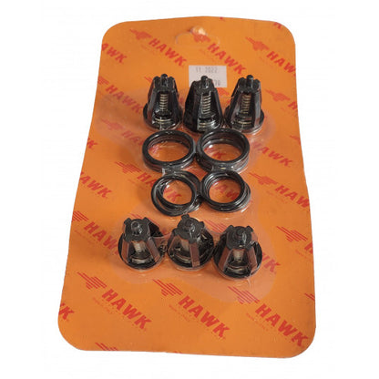 Hawk XLT/XLTI Valve Kit