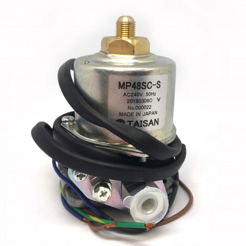 Taisan 240V Electric Fuel Pump