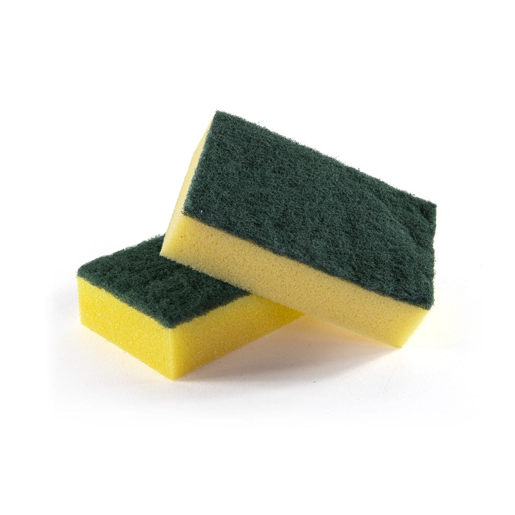 Basics Sponge Scourer - 20 Packs of 10 - Commercial Cleaning Machines Ltd