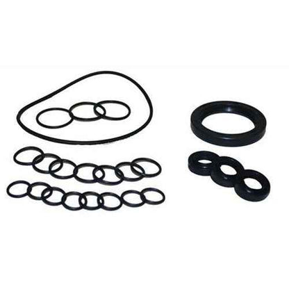 Oil Seal Kit AXD Pump - New Code = 10001-01118