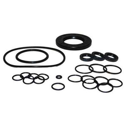 RW Oil Seal Kit - New Code = 10001-01390