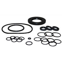 RW Oil Seal Kit - New Code = 10001-01390