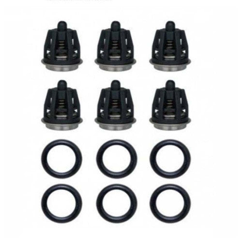 TW Pump Valve Kit - New Code = 10001-01616