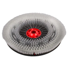 Genuine IPC 20" Nylon Scrubbing Brush For CT40 Models - Commercial Cleaning Machines Ltd