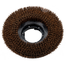 Genuine Truvox Orbis 43cm / 17" Palmyra Dry Use Brush